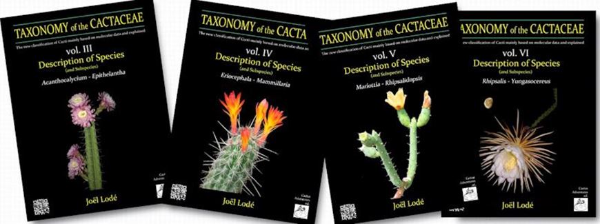 Taxonomy of the Cactaceae: a new classification of cacti based on molecular research and fully explained. Volumes 3 - 6. 2026.  13.500 ol. figs. 2434 p. 4to.. Hardcover. In English.