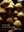 Fungal Populations and Species. 2003. illus. 362 p. Paper bd.