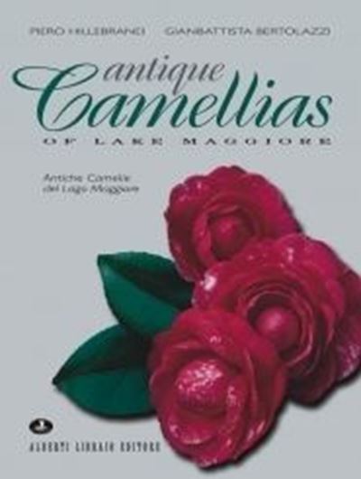 Antiche Camelie del Lago Maggiore (Antique Camellias of Lake Maggiore). 2 vols. 2003 - 2011. (Verbano Verde, 17 & 29). Many col. photogr. 648 p. 4to. Hardcover. - In Italian.