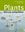 Plants. Diversity and Evolution. 2006. illus. XVI, 440 p. gr8vo. Paper bd.