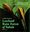 A Walk through the Lowland Rain Forest of Sabah. 2011. illus. (col.). 130 p. Paper bd.