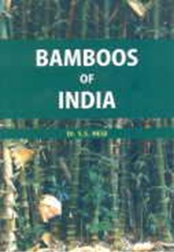 Bamboos of India. 2009. col. pls. III, 221 p. gr8vo. Hardcover.