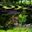  Dans les Jardins du Perigord. 2010. (Hors collection). 200 photogr. 224 p. gr8vo. Paper bd. 