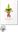  Orchideen. 2014. 450 farb. Illus. 312 S. Hardcover. 28 x 37,5 cm.
