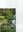 Forest Ecology in India. 2014. 171 p. gr8vo. Hardcover.