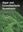 Algal and Cyanobacteria Symbioses. 2017. illus. XXXIV, 644 p. gr8vo. Hardcover.