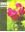 Sikkim biodiversity: significance and sustainability. 2012. illus. 292 p. gr8vo. Hardcover.