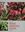  Reviews on Indian Medicinal Plants. Volume 17: Na - Ny. 2017. XXXI, 737 p. gr8vo. Hardcover.