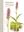 Orkidéer i Europa. Vilda, Vackra & Vana. 2017. 215 col. figs. 208 p. Hardcover.- In Swedish.