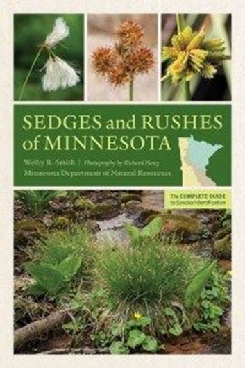Sedges and Rushes of Minnesota. The complete guide to species identification. With photographs by Richard Haug. 2018. Col. photogr. & dot maps. XXI, 667 p. Paper bd.