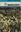 Macrolichens of Denmark, Finland, Norway and Swedene. 1973. 61 figs. (line drawings). 185 p. Hardcover.