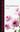 Chrysanthemum. 2020. 100 col. pls. 216 p. gr8vo. Halfcloth.