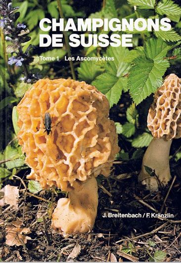 Champignons de Suisse. Tome 1: Ascomycetes. 1981. 390 especes photographiees en couleur. Beaucoup de dessins d'observations microscopiques. 313 p. 4to. Relie. En Francais.
