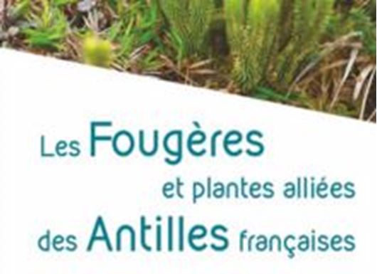Les Fougeres et Plantes Alliees des Antilles Francaises. 2025. (Collection Inventaires & Biodiversité). 1600 col. figs. 591 p. gr8vo. Paper bd.- In French.