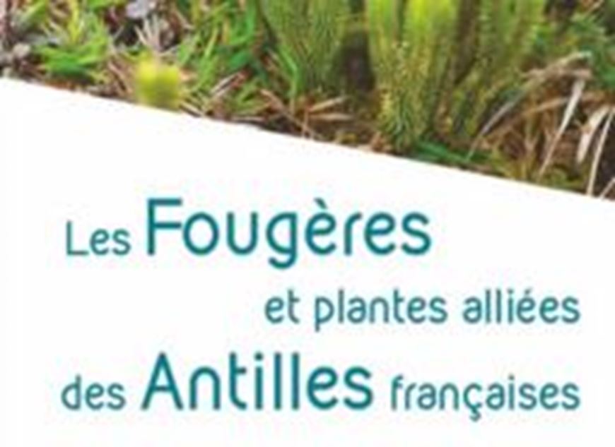 Les Fougeres et Plantes Alliees des Antilles Francaises. 2025. (Collection Inventaires & Biodiversité). 1600 col. figs. 591 p. gr8vo. Paper bd.- In French.
