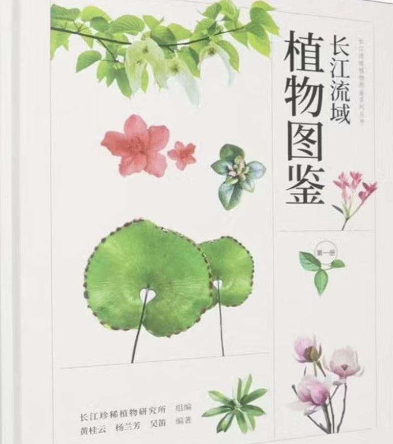 A Flora of Yangtze River Basin. (Chángjiang liúyù zhíwù tújiàn (1)(jing)). Volume 1. 2026. illus. 242 p. Hardcover. - Chinese, with Latin nomenclature.