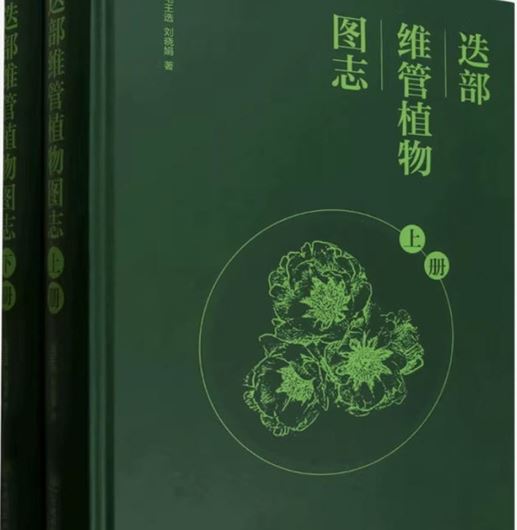Illustrated Flora of Vascular Plants in Diebu County. (Dié bù wéi guan zhíwù tú zhì (shàngxià)(jing)). 2 volumes, 2025. illus. 1640 p. gr8vo. Hardcover.- Chinese, with Latin nomenclature.