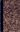 Liste des Algues Marines de Cherbourg. 1863. 6 pls. 168 p. gr8vo. Halfleather.
