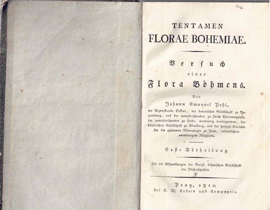 Tentamen Florae Bohemiae. Versuch einer Flora Böhmens. Erste Abtheilung. Prag 1810. 1 gef. Tafel. XXXII, 302 S Pappband.