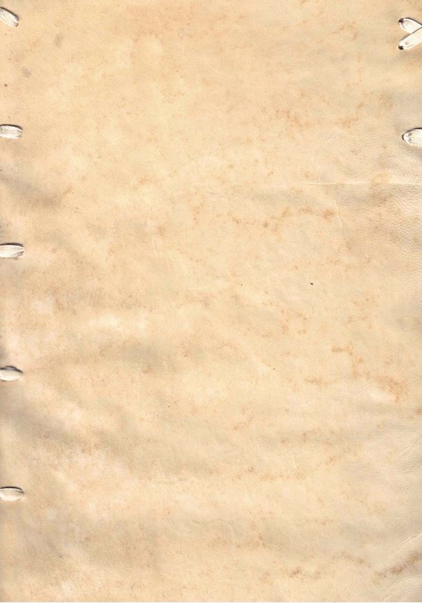 Theatrum Botanicum, Das ist: Neu Vollkommenes Kräuter=Buch, Worinnen Allerhand Erdgewächse der Bäumen, Stauden und Kräutern, welche in allen vier Theilen der Welt, sonderlich aber in Europa herfür kommen, neben ihren sonderbahren Eigenschafften, Tugenden und Fürtrefflichen Würckungen, auch vielen herrlichen Arzneymittlen und deren Gebrauch, wider allerley Kranckheiten an Menschen und Vieh...